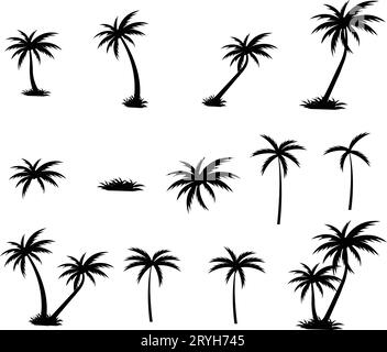 Tropische Palme und Blattsilhouette. Schwarze Palmensammlung. Gestaltung von Palmen für Plakate, Banner sowie Werbe- und Dekorationsartikel Stock Vektor