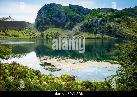 Enol-See in Picos de Europa, Asturien, Spanien Stockfoto