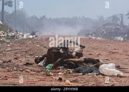 Eine allgemeine Ansicht zeigt eine große Menge an Müll im unregelmäßigen Ablagerungsmüll in der Nähe des Caju-Una Beach Umweltschutzgebiets am 30. September 2023 in der Soure Marajó Insel Amazonasregion nördlich von Brasilien. Die Insel Marajó ist mit einer Fläche von etwa 40,100 km² die größte Flussinsel der Welt und liegt im Bundesstaat Para an der Mündung des Amazonas. (Foto: Paulo Amorim/SIPA USA) Credit: SIPA USA/Alamy Live News Stockfoto