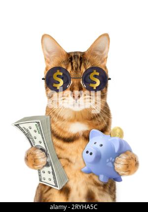 Die Katze auf weißem Hintergrund hält eine Schweinebank und Banknoten. Stockfoto