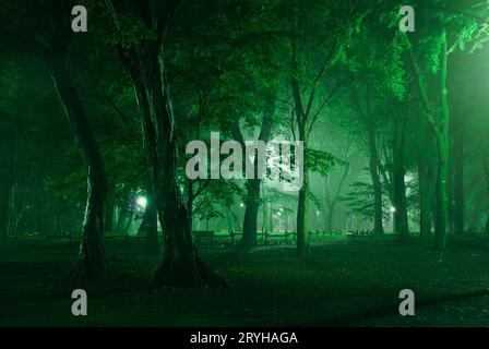 Inokashira Park, der in Nebel gehüllt war Stockfoto