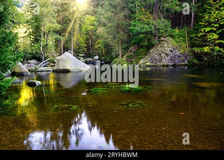 Flussbett mit großen Steinen auf der Insel Engagement in der Oker im Harz Stockfoto