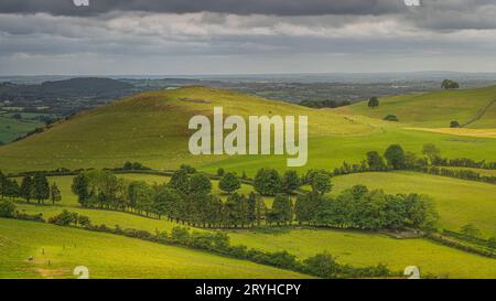 Hunderte von Schafen grasen auf den grünen Hügeln des alten Loughcrew Cairns, Irland Stockfoto