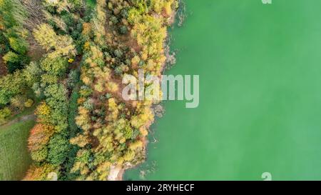 Blick von oben auf die Landstraße im grünen Herbstwald und im blauen See. Ländliche Landschaft in Belgien. Drohnenfotografie von oben. Stockfoto