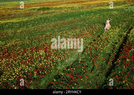 Attraktive junge Frau in rotem Kleid, die glücklich im Frühlingsfeld mit Mohnblumen läuft. Stockfoto