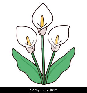 Calla Lily Blumenstrauß Zeichnung, einfaches und elegantes Design. Drei weiße Lilien mit Blättern, isolierte Vektorillustration. Stock Vektor