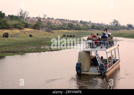 Bootstour im Chobe-Nationalpark. Ein Kanal zwischen Nordbotswana und Namibia. Eine Schließung für die Tierwelt. Stockfoto