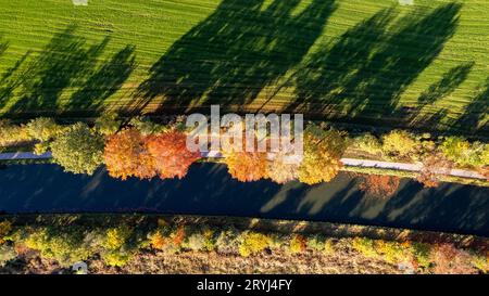 Luftaufnahme von oben nach unten von einer Drohne der Herbstfarben rund um den Kanal Dessel Schoten Luftbild in Rijkevorsel, kempen, BE Stockfoto