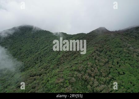 Grüne Hügel in Mombacho Vulkan aus der Vogelperspektive Stockfoto