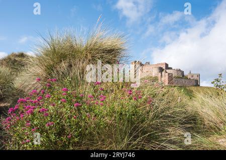 Bamburgh Castle an der nordöstlichen Küste Englands in Northumberland von den Sanddünen am Ufer aus gesehen. Stockfoto