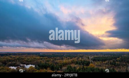 Schöner farbiger Wald im Herbst. Luftdrohnenbild des belgischen Waldes in Antwerpen im Herbst von einer Drohne aufgenommen Stockfoto