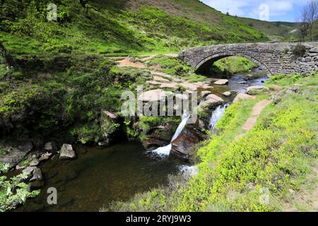 River Dane und Wasserfälle am Three Shires Head, dem Treffpunkt der Countys Cheshire, Derbyshire und Staffordshire, England, Großbritannien Stockfoto