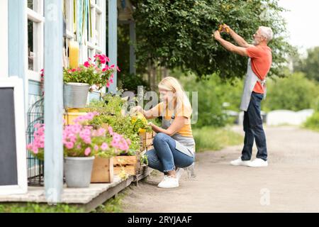 Happy Mature Ehepaar Gartenarbeit Im Hinterhof Ihres Hauses Stockfoto
