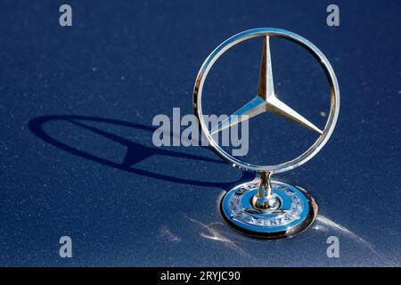 mercedes benz Star-Maskottchen glänzt auf der tiefblauen Haube eines w123 Oldtimer. Die Verzierung lässt Schatten auf der Metalloberfläche fallen Stockfoto