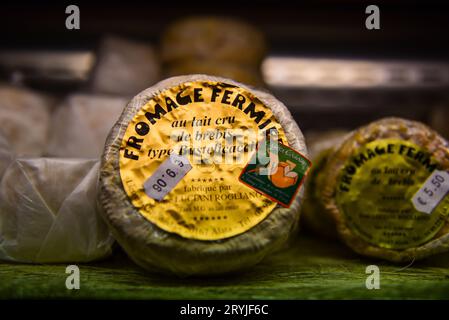 Casgiu Casanu zertifizierter Schafskäse aus Bastelicaccia (Region Ajaccio) L'antigu 20169, einem lokalen Lebensmittelgeschäft, Bonifacio, Korsika, 16. Juli Stockfoto
