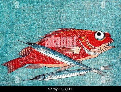 Red Snapper und Halbschnabel (1835-1839) von Utagawa Hiroshige. Das gemeinfreie Originalbild des Minneapolis Institute of Art. Stockfoto