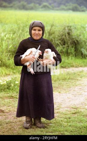 Ilfov County, Rumänien, 1990. Ältere Nonne, die zwei lebende Hühner und ein Messer hielt, das sie einem Dorfbewohner geben würde, um für ein Klostermahl zu opfern. Stockfoto