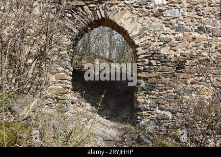 Burgruine Kamegg, Österreich Stockfoto