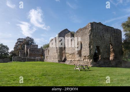 Bishop's Waltham Palace Ruinen, ein Wahrzeichen von Hampshire, England, Großbritannien Stockfoto