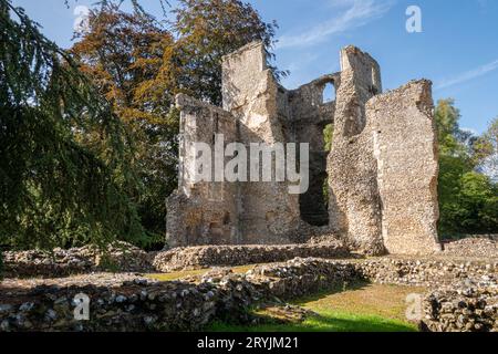 Bishop's Waltham Palace Ruinen, ein Wahrzeichen von Hampshire, England, Großbritannien Stockfoto