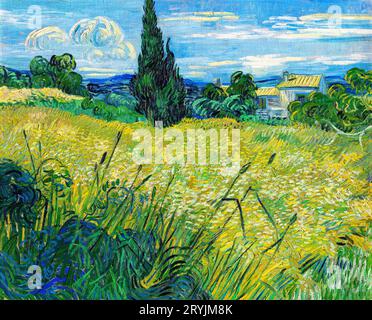 Vincent van Goghs grünes Weizenfeld mit der berühmten Zypresse. Stockfoto