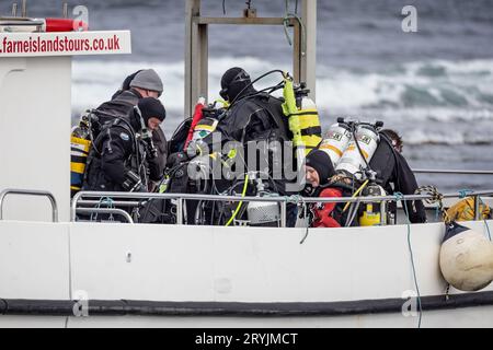 Gruppe von Tauchern, die sich auf einen Tauchgang mit dem Boot vor den Farne Islands, Northumberland, Großbritannien am 23. September 2023 vorbereiten Stockfoto