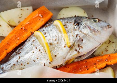 Marinierter dorado-Fisch mit Gemüse und Gewürzen auf Backblech vor dem Backen. Nahaufnahme Stockfoto