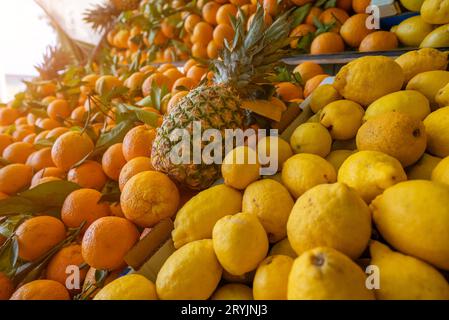 Viele Öko-Zitronen und Orangen auf dem Stadtmarkt. Stockfoto