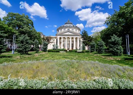 Altes Gebäude des rumänischen Athenaeums (Ateneul Roman), einer Konzerthalle im Zentrum von Bukarest, Rumänien, Wahrzeichen der rumänischen Hauptstadt Loca Stockfoto