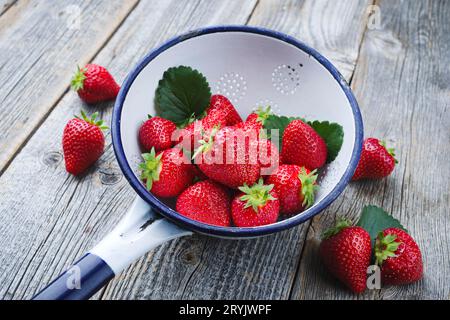 Reife rote Erdbeeren aus biologischem Anbau werden als Nahaufnahme in einem rustikalen Abtropfsieb auf altem verblasstem Holz angeboten Stockfoto