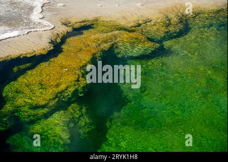 Der Rand des Black Pool Thermal im West Thumb Stockfoto