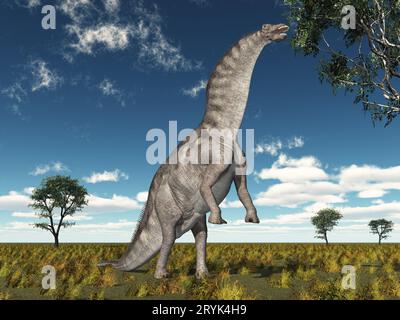 Dinosaurier Amargasaurus frisst die Blätter eines Baumes Stockfoto