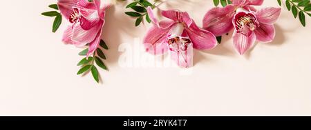 Minimaler Natur floraler Hintergrund mit Orchideen. Tropische rosa phalaenopsis Orchideen auf einem hellen pastellfarbenen Hintergrund. Flachbild-Draufsicht Stockfoto