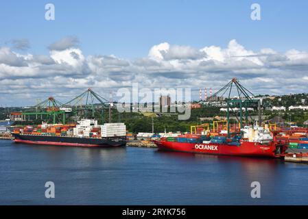 Halifax, Kanada - 4. August 2023: Das NYK Constellation Containerschiff aus Panama und der Oceanex Sanderling aus St. John’s NL Stockfoto