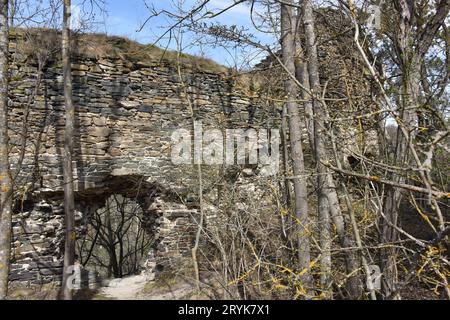 Burgruine Kamegg, Österreich Stockfoto