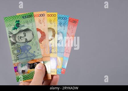 Costa-ricanisches Geld in der Hand auf grauem Hintergrund Stockfoto