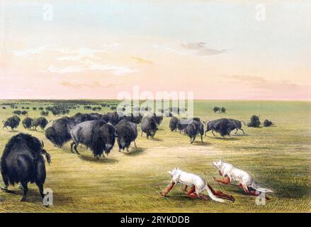 Buffalo Hunt, unter der Haut des Weißen Wolfs. Original vom Minneapolis Institute of Art. Stockfoto