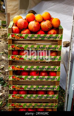 Turm aus acht Kisten mit Orangen und Granatäpfeln. Die Kisten haben vorne ein Streifenmuster und oben die Früchte Stockfoto