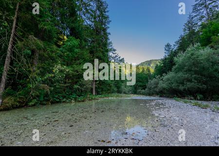 Wunderschöner Belca-Fluss, kleiner sauberer Wasserstrom im engen Tal des Belca-Flusses, Slowenien. Gras am Flussufer, langsam mäandernder Fluss und weiß Stockfoto