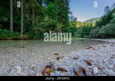 Wunderschöner Belca-Fluss, kleiner sauberer Wasserstrom im engen Tal des Belca-Flusses, Slowenien. Gras am Flussufer, langsam mäandernder Fluss und weiß Stockfoto