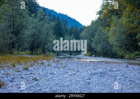 Wunderschöner Belca-Fluss, kleiner sauberer Wasserstrom im engen Tal des Belca-Flusses, Slowenien. Gras am Flussufer, langsam mäandernder Fluss und weiß Stockfoto