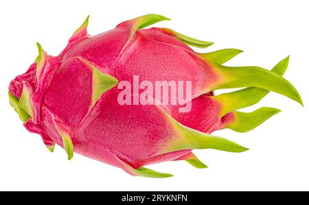 Eine ganze Drachenfrucht isoliert auf weißem Hintergrund, volle Feldtiefe Stockfoto