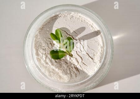 Ein offenes Glas mit Peeling-Pulver und grünem Zweig. Stockfoto