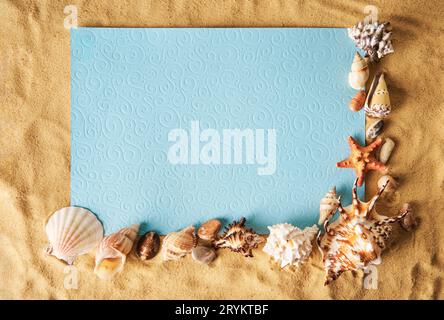Blank paper card on sandy beach with seashells and starfish. Summer time concept, vacation Stockfoto