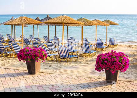 Bunte Blumen und Sonnenschirme am Sandstrand, Griechenland Stockfoto