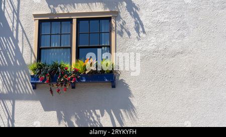 Blick auf ein Außenfenster mit Blumen in einer Holzkiste und einer texturierten Wand Stockfoto