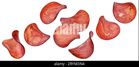 Fallende Fleischspäne isoliert auf weißem Hintergrund, Sammlung Stockfoto