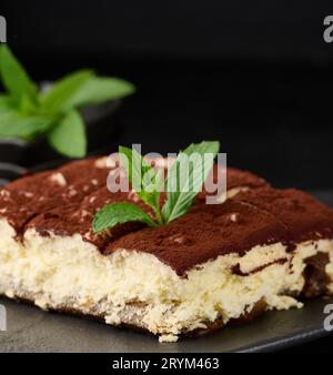 Ein Stück Tiramisu mit Kakao auf einem Zweig frischer Minze auf schwarzem Hintergrund Stockfoto