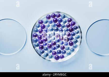 Probe von Gelbläschen in Petrischale auf blauem Hintergrund, harte Schatten. Abstraktes Wissenschafts-, Medizin- und Schönheitskonzept Stockfoto