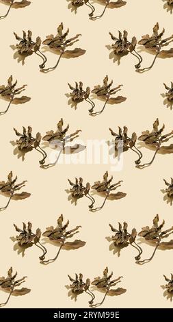 Getrocknete Blätter auf beigefarbenem Hintergrund. Herbst Hintergrund. Stockfoto
